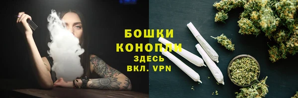 ГАЛЛЮЦИНОГЕННЫЕ ГРИБЫ Абаза