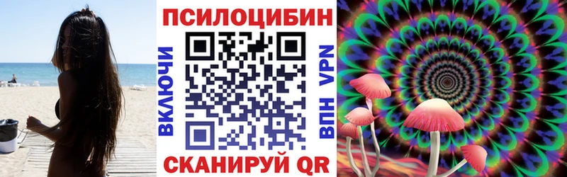 что такое наркотик  Новокубанск  Галлюциногенные грибы мицелий 