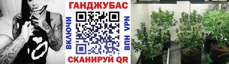 omg как войти  где можно купить   маркетплейс состав  Канабис VHQ  Новокубанск 